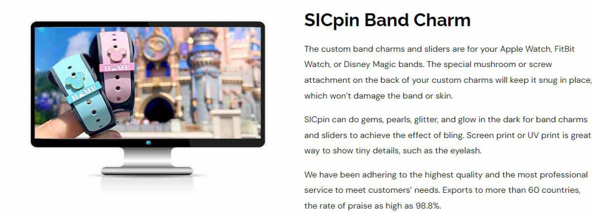 SICpin Band Charm