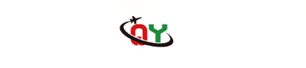 Q Y Home logo